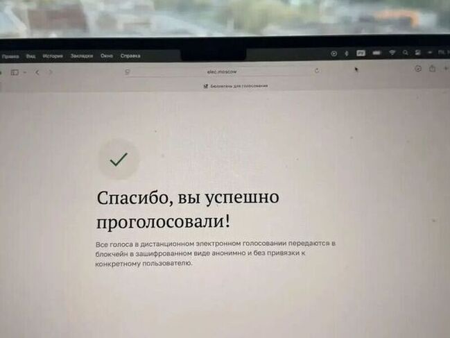 Елена Цунаева отдала голос в Петербурге, используя дистанционный способ
